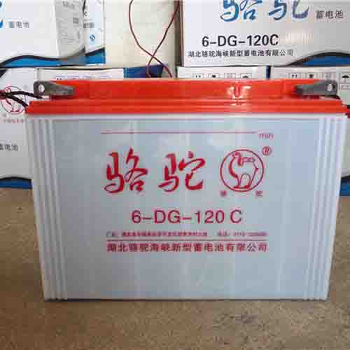 郑州骆驼蓄电池_牵引力电池